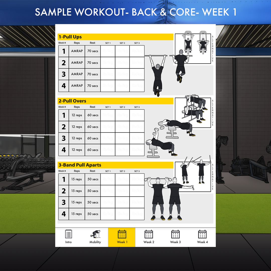 Trainingsplan Muskelaufbau