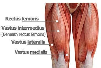 Vastus Medialis Trainieren